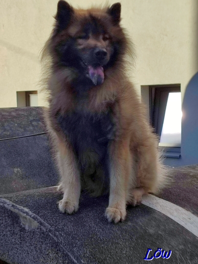 19.4.2025 - Bergluft